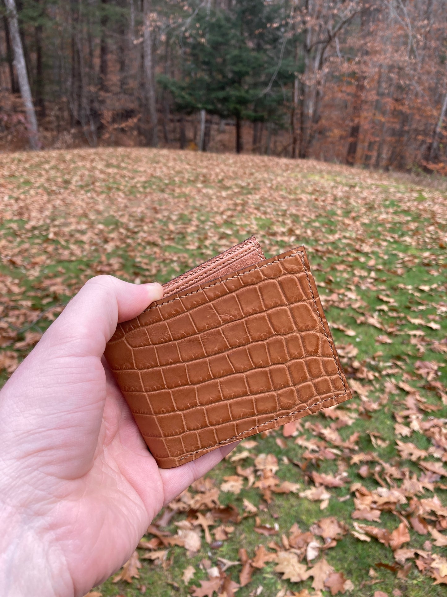 Alligator Bifold Wallet