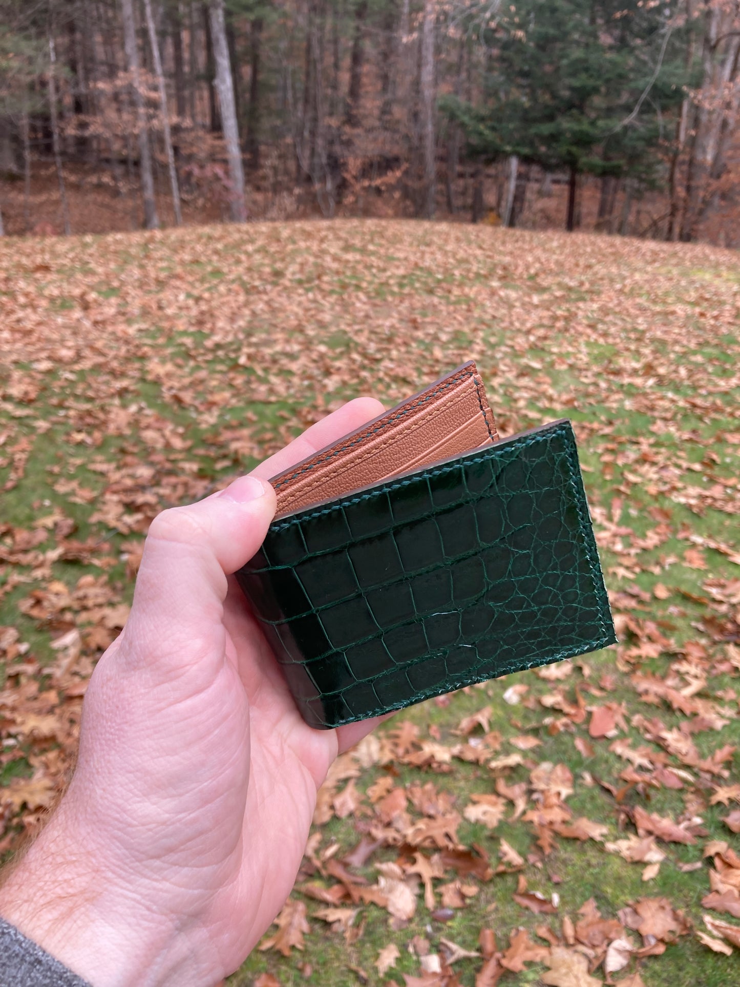 Alligator Bifold Wallet