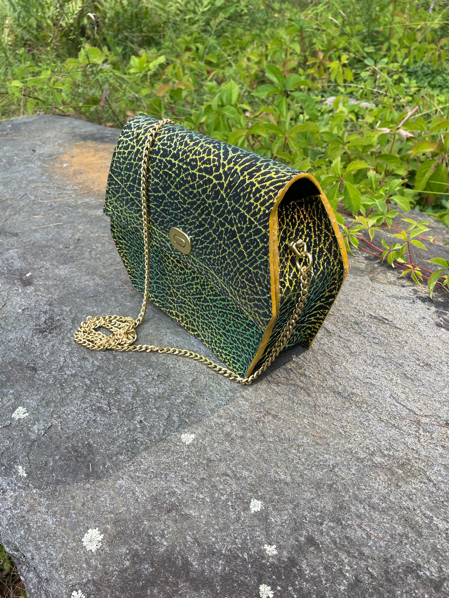 Dragonfly Iridescent EP Hex Bag